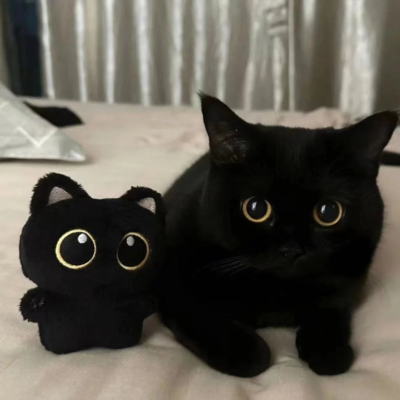 Boneco de pelúcia de gato preto